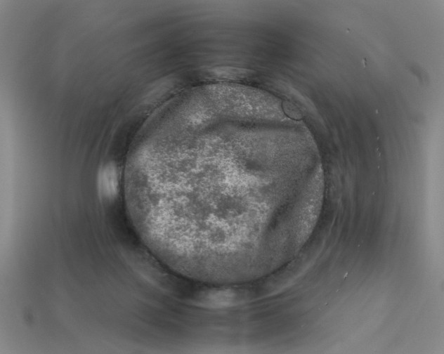 X0000113310075200910051113