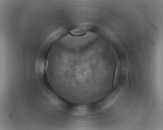 X0000113310076200910051113