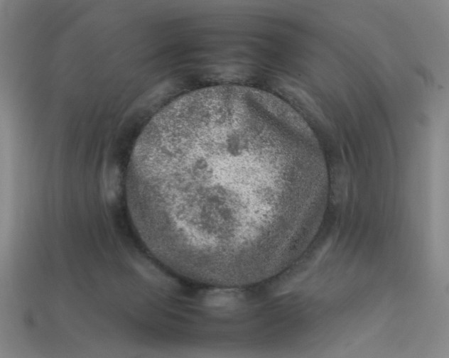 X0000113310077200910051113