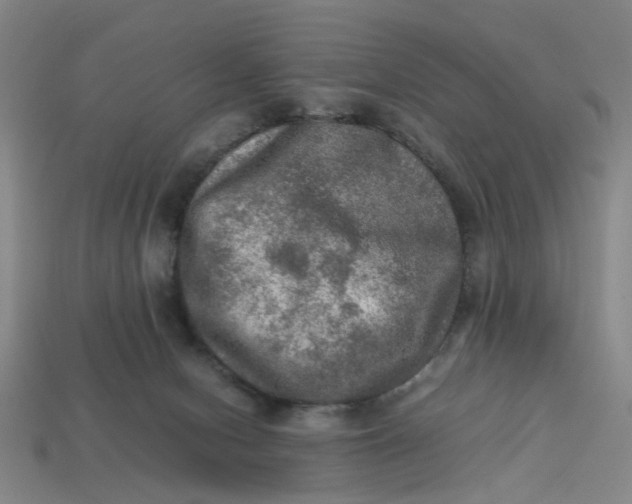 X0000113310078200910051113