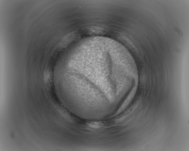 X0000113310079200910051113