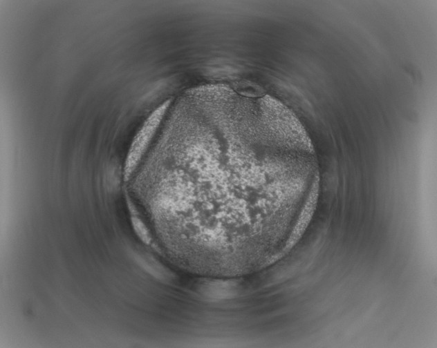 X0000113310081200910051113