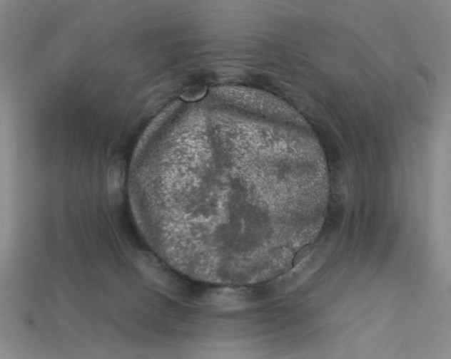 X0000113310082200910051113