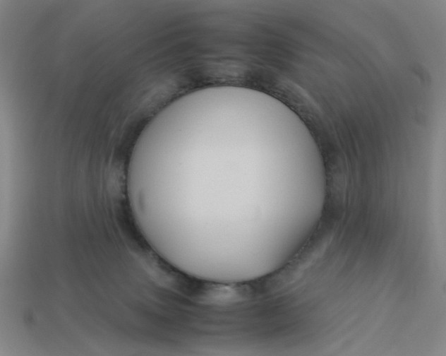 X0000113310083200910051113