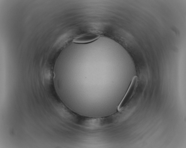 X0000113310084200910051113