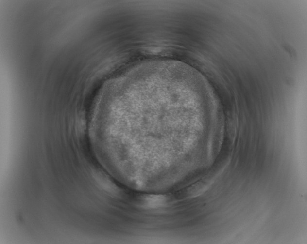 X0000113310085200910051113