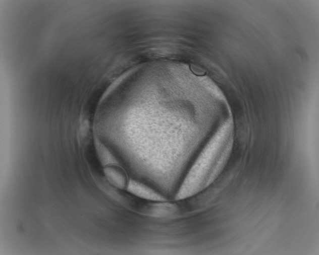 X0000113310087200910051113