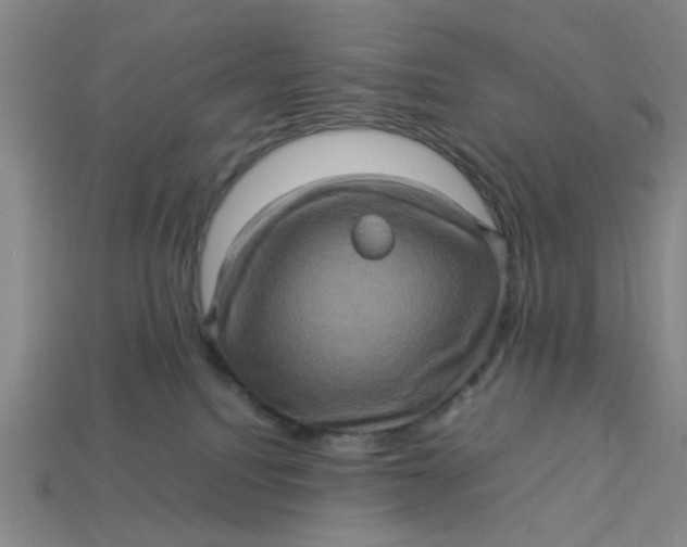 X0000113310088200910051113