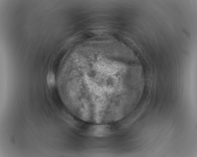 X0000113310089200910051113