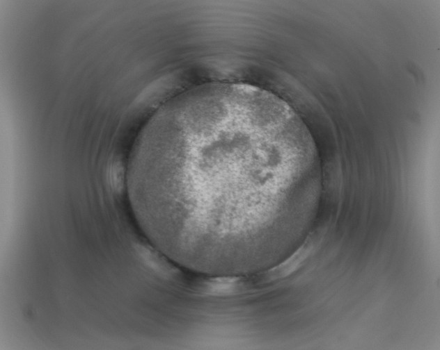 X0000113310090200910051113