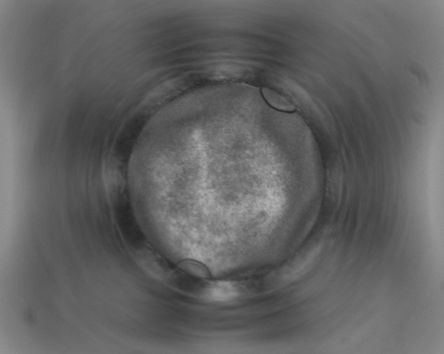 X0000113310091200910051113