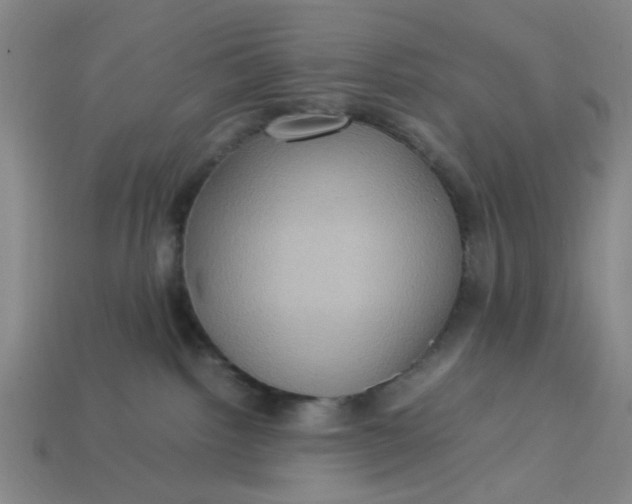 X0000113310092200910051113