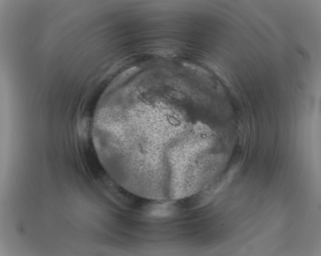 X0000113310093200910051113