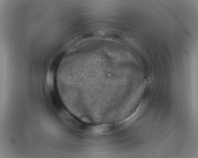 X0000113310094200910051113