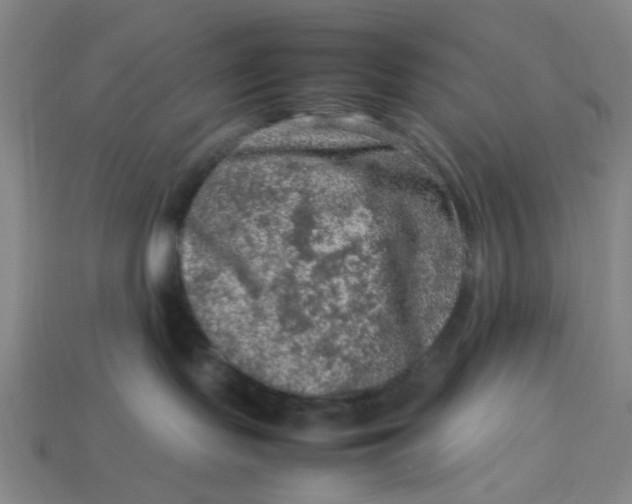 X0000113310095200910051113