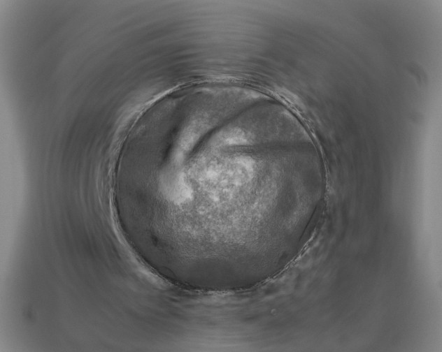 X0000113310097200910051113