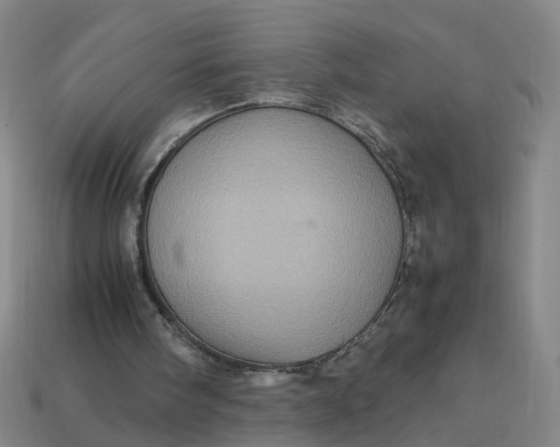 X0000113310098200910051113