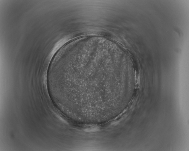 X0000113310099200910051113