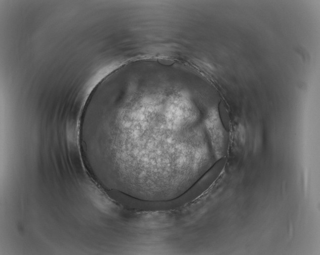 X0000113310100200910051113