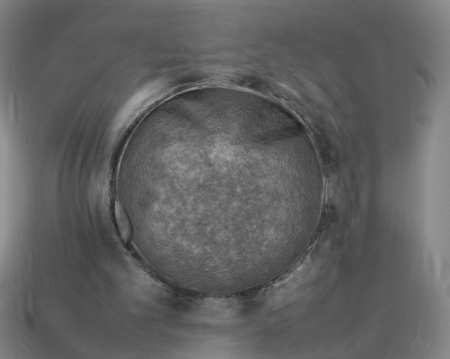 X0000113310101200910051113