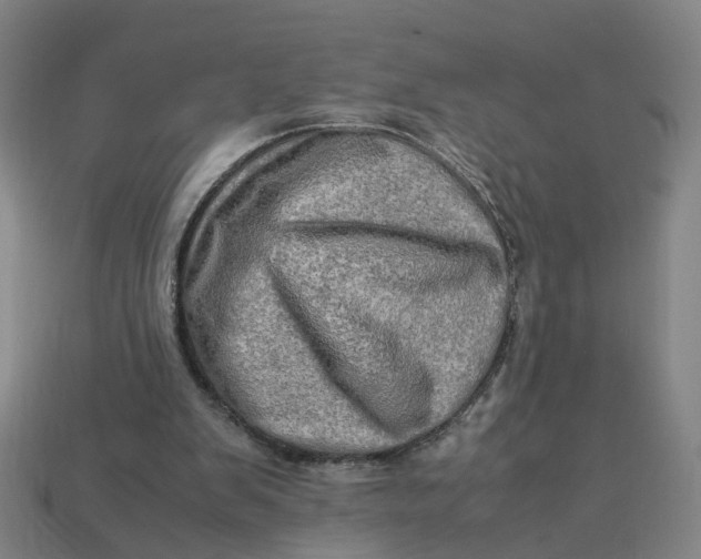 X0000113310103200910051113