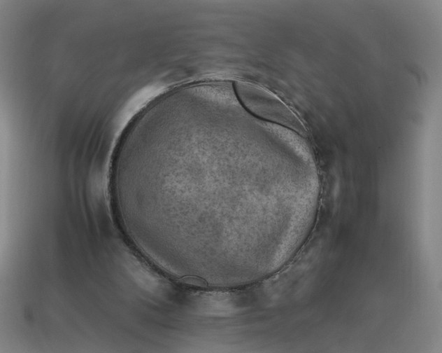 X0000113310104200910051113