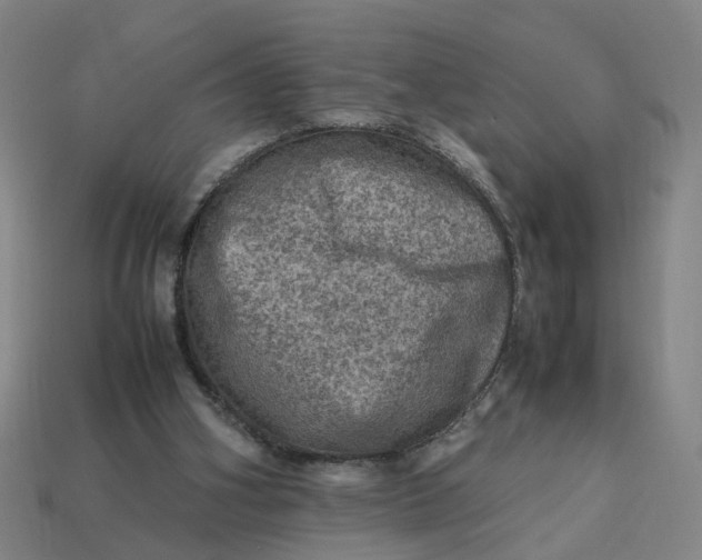 X0000113310106200910051113