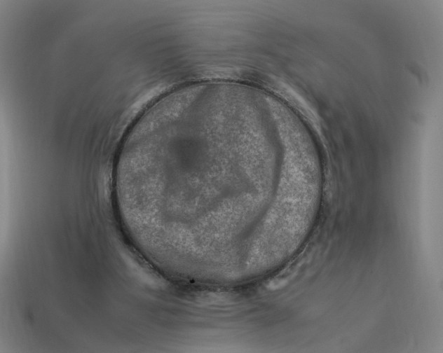 X0000113310107200910051113