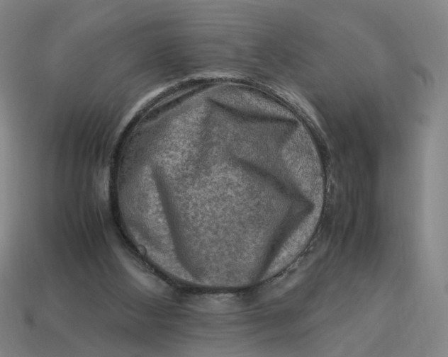 X0000113310108200910051113