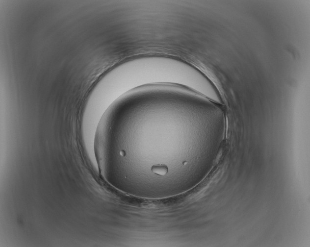 X0000113310109200910051112