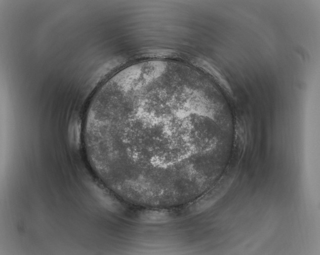 X0000113310110200910051112