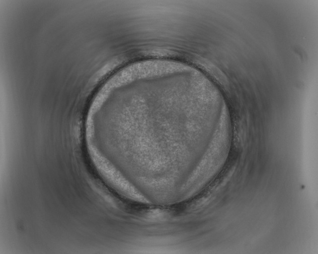 X0000113310111200910051112