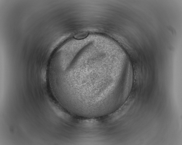 X0000113310112200910051112