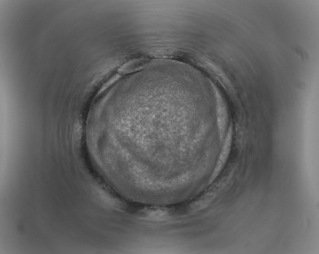 X0000113310113200910051112