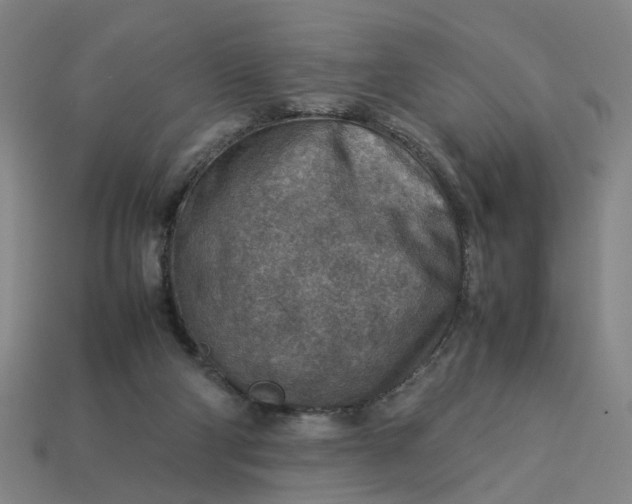 X0000113310114200910051112