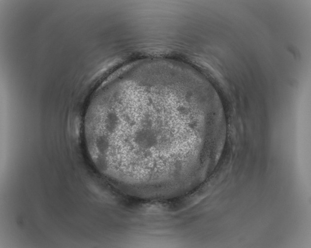 X0000113310115200910051112