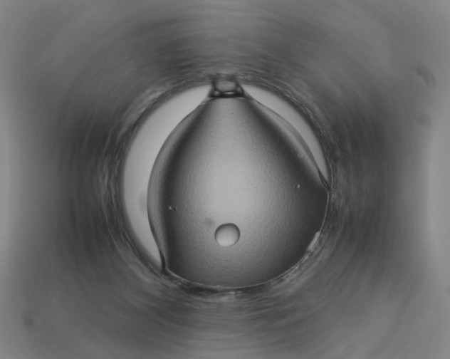 X0000113310116200910051112