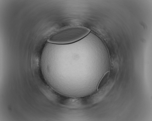 X0000113310117200910051112