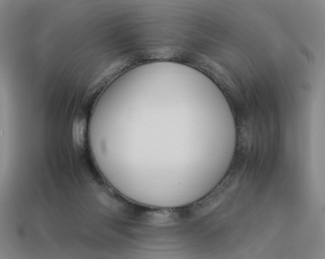 X0000113310118200910051112