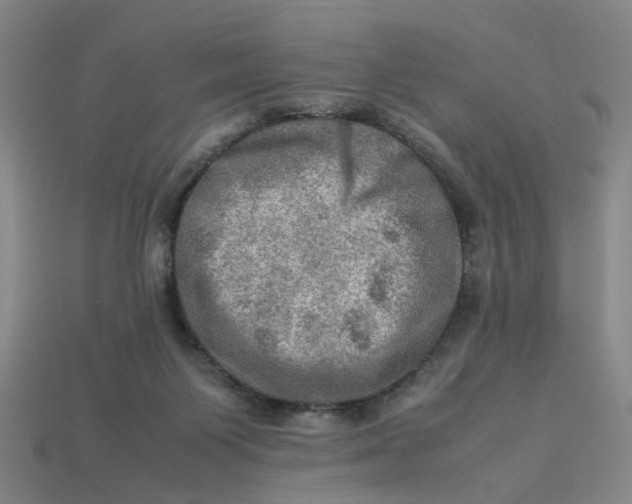 X0000113310119200910051112