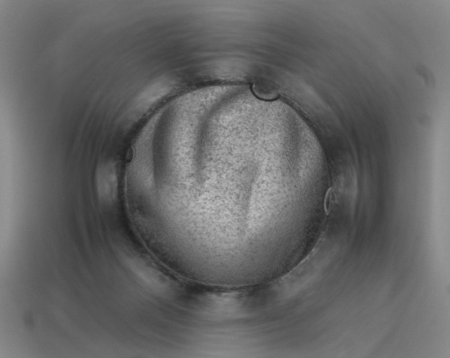 X0000113310120200910051112