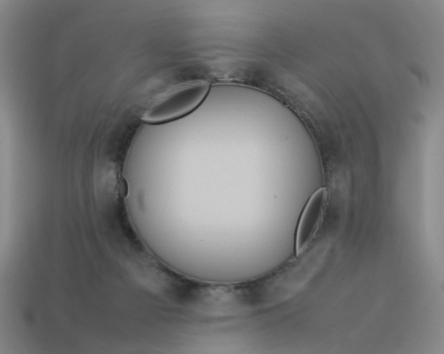 X0000113310121200910051112