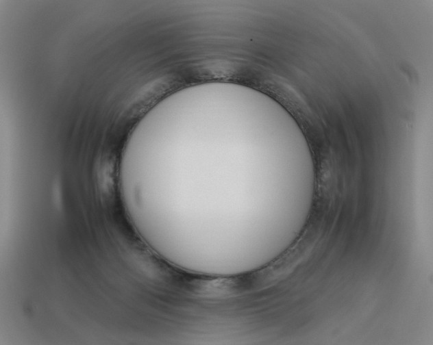 X0000113310122200910051112