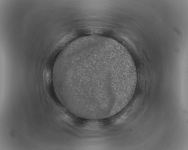 X0000113310123200910051112