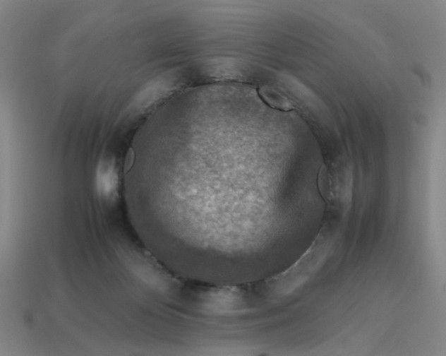 X0000113310124200910051112