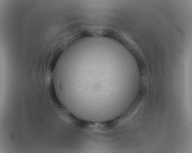 X0000113310125200910051112