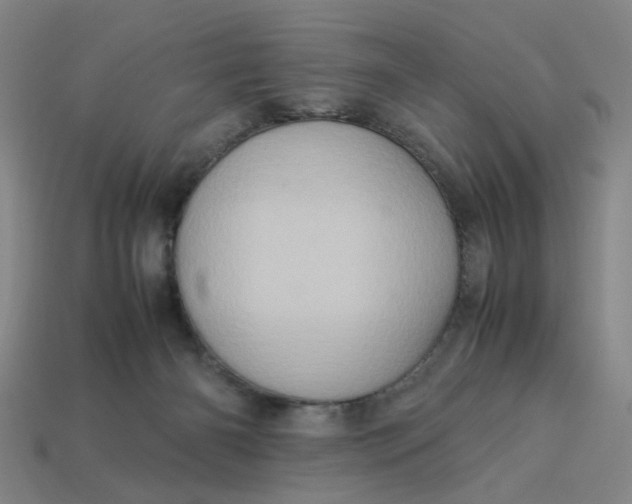 X0000113310126200910051112