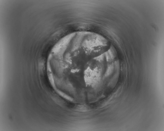 X0000113310127200910051112