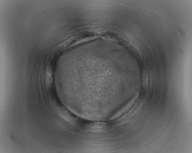 X0000113310128200910051112