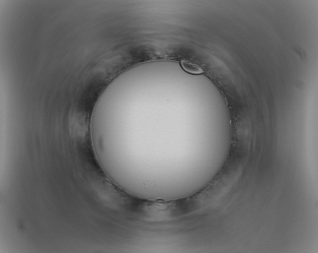 X0000113310129200910051112